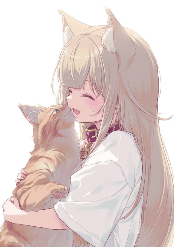 きなこときなこ🐈 / 40原