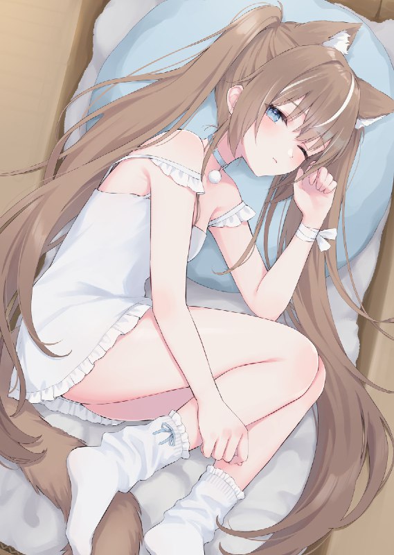 箱入り猫娘 / 茶乃ひより#オリジナル #女の子 #猫耳