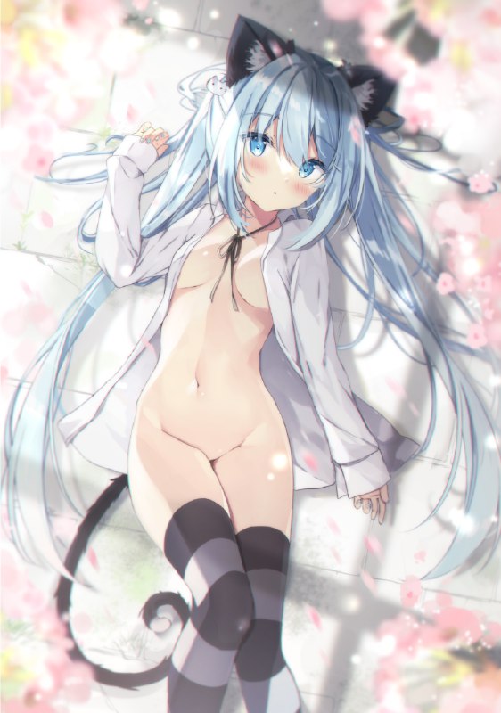 桜と猫 / 佐伯ソラ✩お仕事募集中