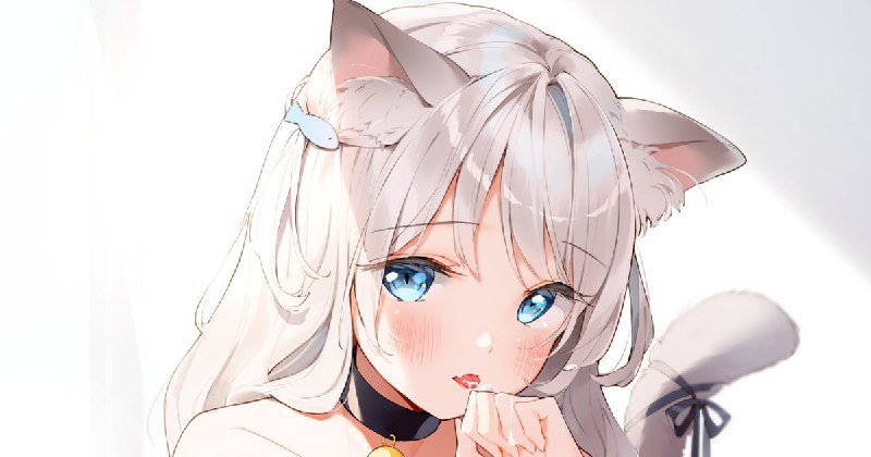 猫とミルク