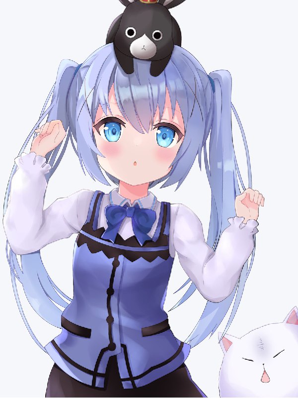 ネコプリン🦈