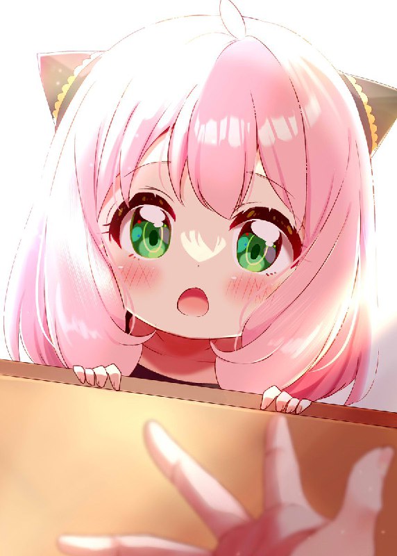 きよ蔵🥜Tシャツ受注生産中