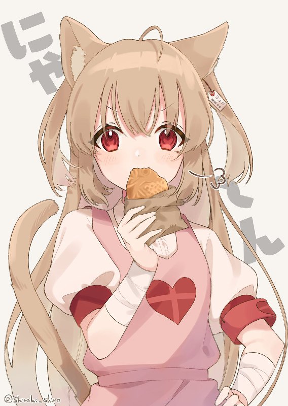 白木しろ🕊
