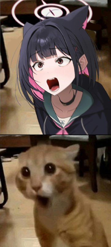 モモカ (@momocadraw)