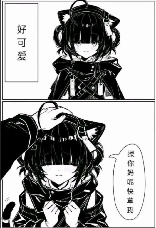 via 派魔喵🍥