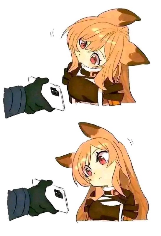 by Mei