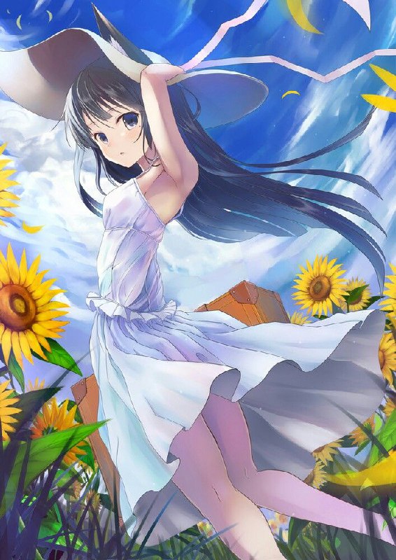 #今日壁纸#今日壁纸