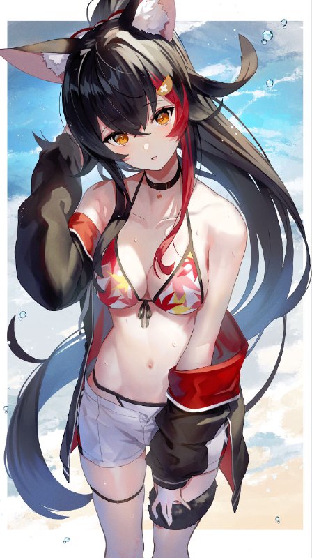 #スコッティ#スコッティ