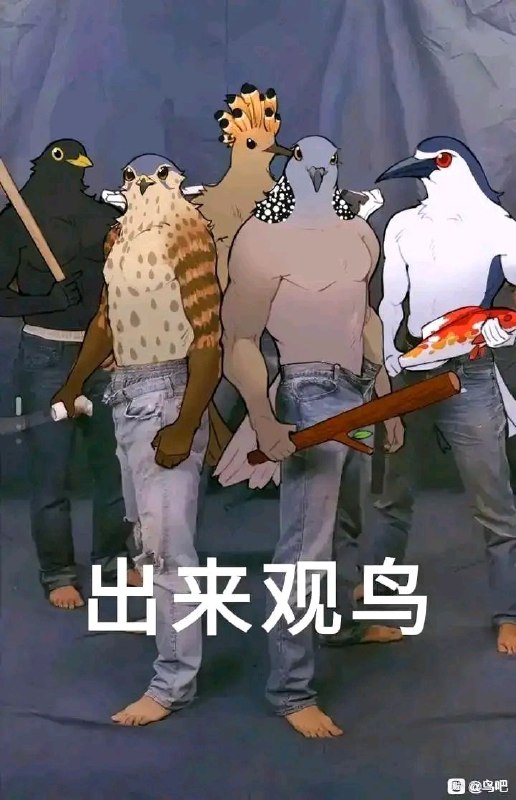 过于万能的模板#草