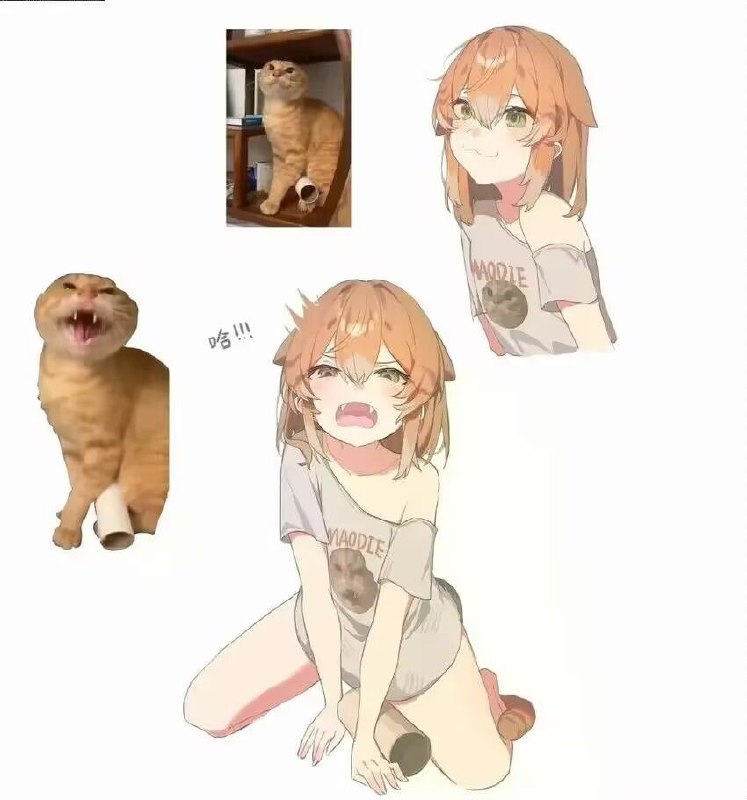 via 亚克力山大
