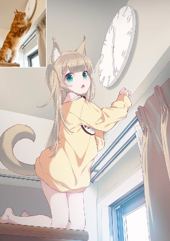 新しいおもちゃを見つけました⏰🐈