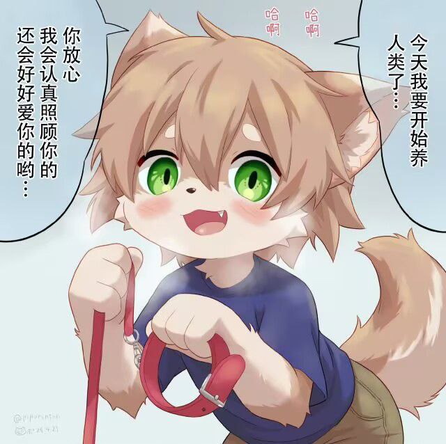 #福瑞 via 泽 from 秋の兽舍