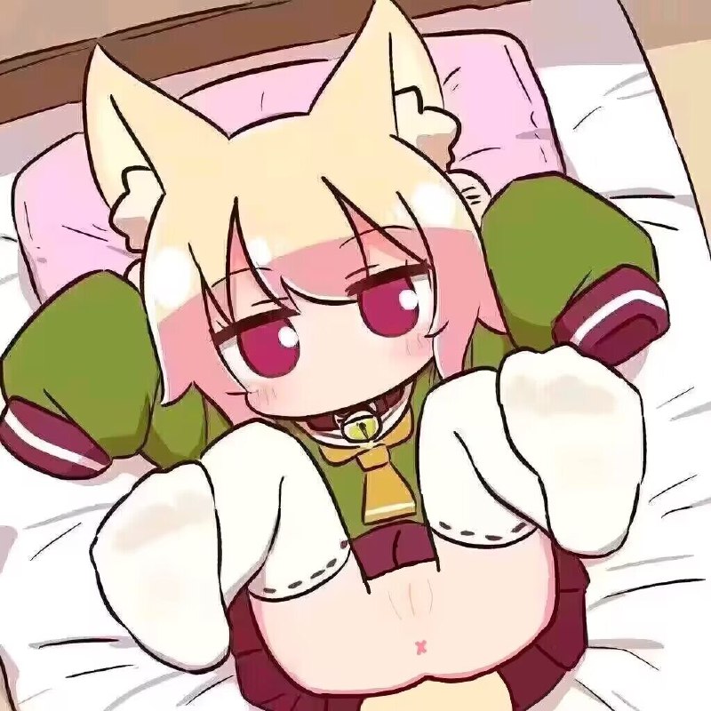 #狐狸 #福瑞