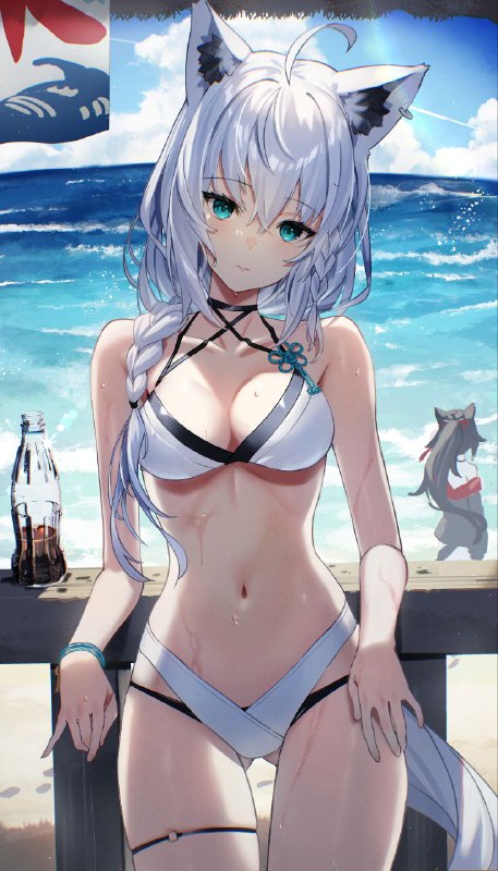 #スコッティ#スコッティ