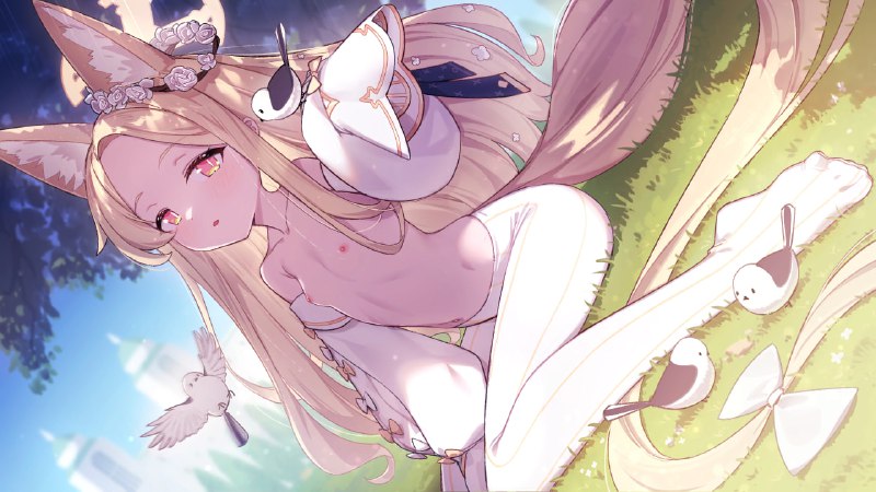 #合集 #Y.P Y.P#合集 #Y.P Y.P