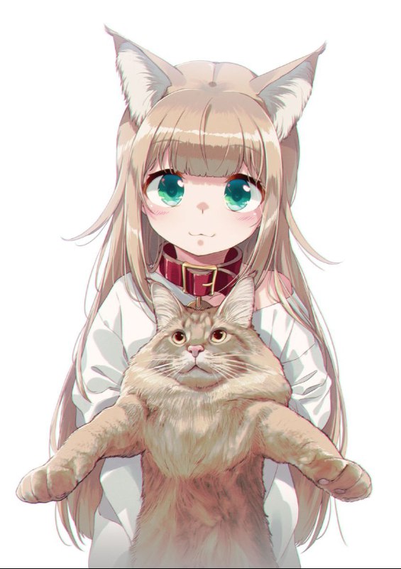 【奇怪的日子增加了】今天2月22日为“ #猫之日 ”（猫の日）1987年由日本宠物食品协会设立，该节意义是表达人与猫只和平相处，而选择此日的原因是“2”在日语的读音与相关拟声词“ニャン”相近似，因此定于此日为“猫之日”