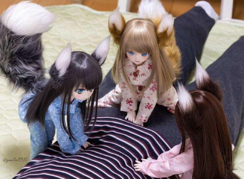 via サメです