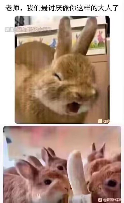 #吊图