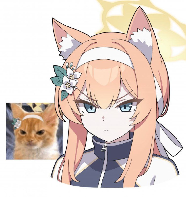 #玛丽喵