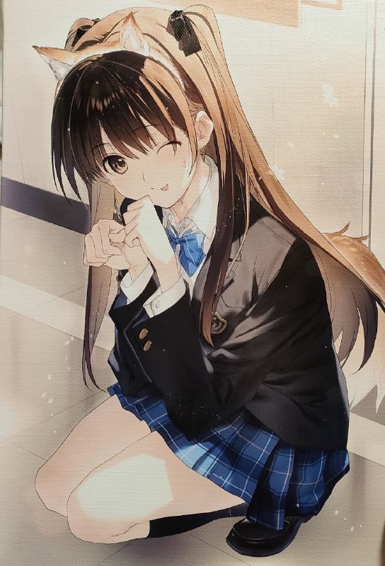 #21 #小木曾雪菜  #白色相簿2 #from Mint boo