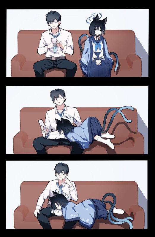 我家猫猫😋#可爱  #碧蓝档案