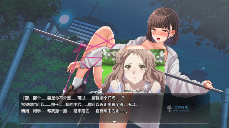 【R3375】[无修正][安卓][电脑][スーパーバッド] 夜歩き / 夜行 官方中文版今天发个短流程的休闲露出PLAY的小游戏，虽然流程短到一小时都不用就能全CG收集，但是全语音无修正的，喜欢这类野外露出玩法的绅士可以一试