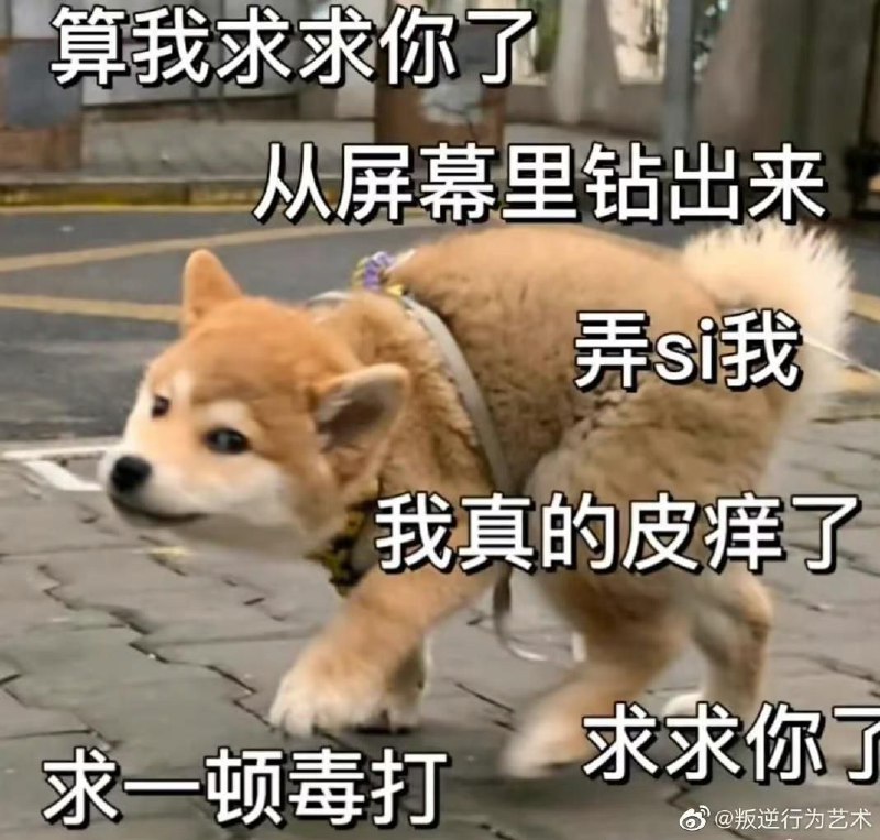 by 抖M槑槑